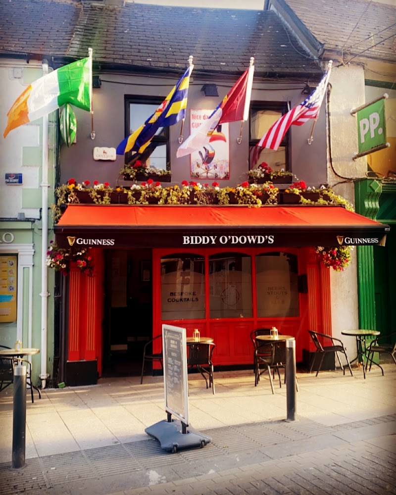 Biddy O'Dowd's - Athlone