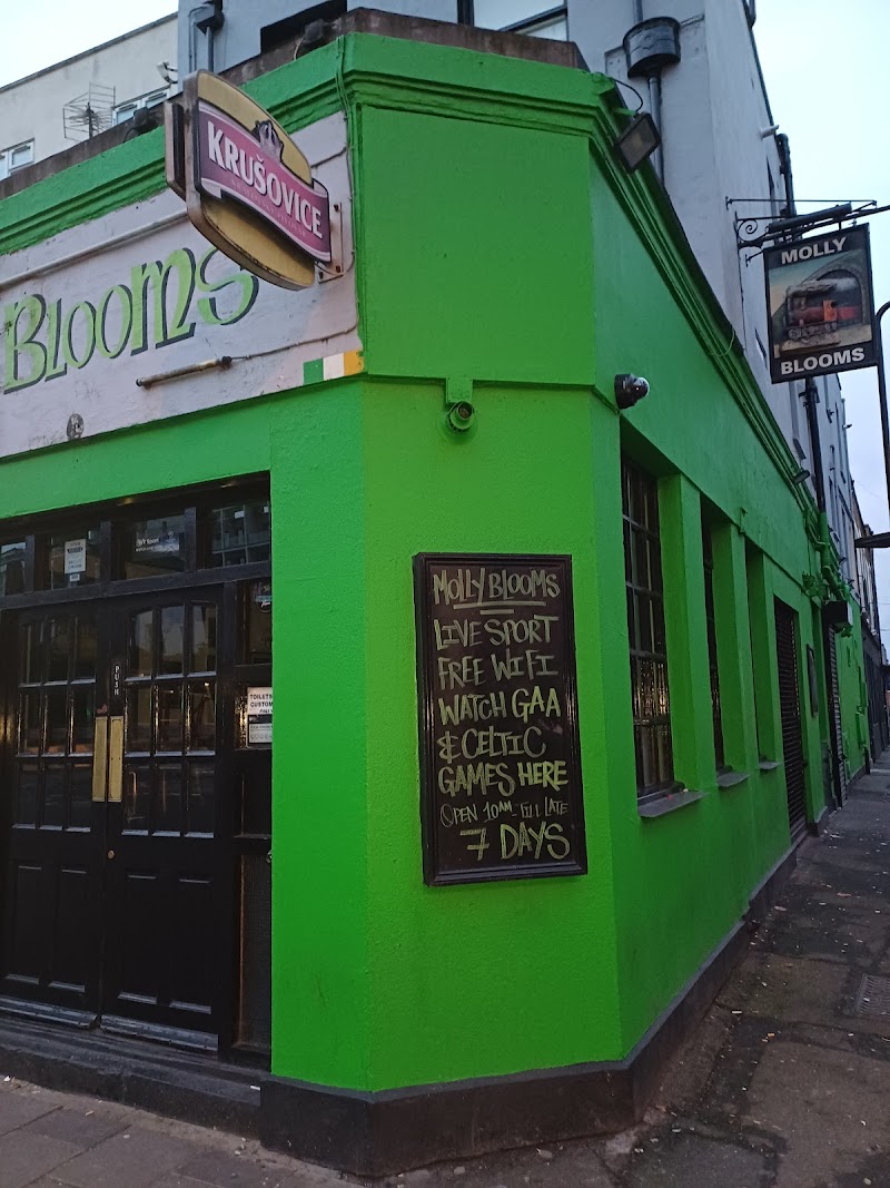 Molly Blooms - 525 Kingsland Rd