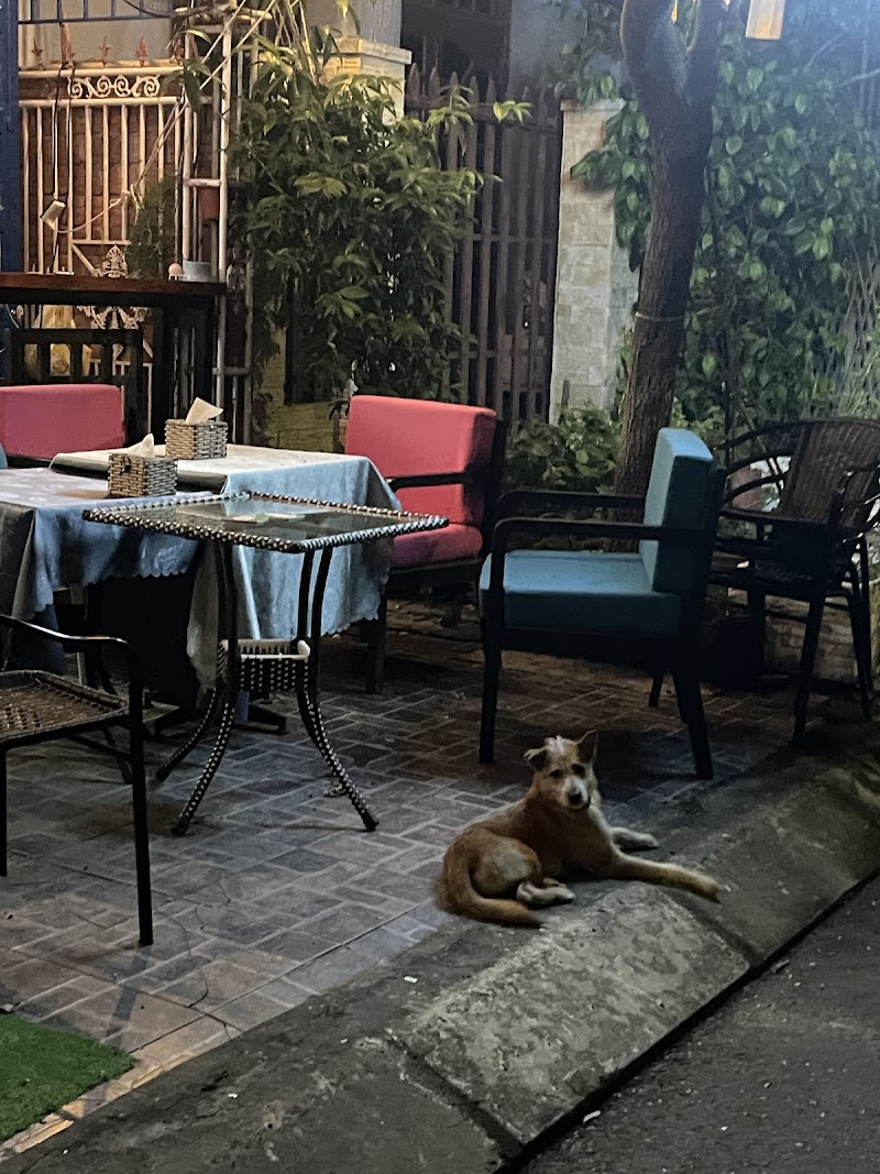 Sleepy Dog Pub - 24 An Thượng 9 Ngu Hanh Son District Da Nang City