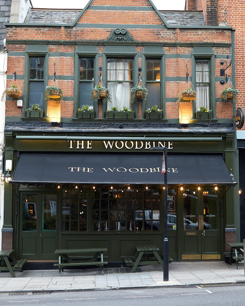The Woodbine - Irish Pub